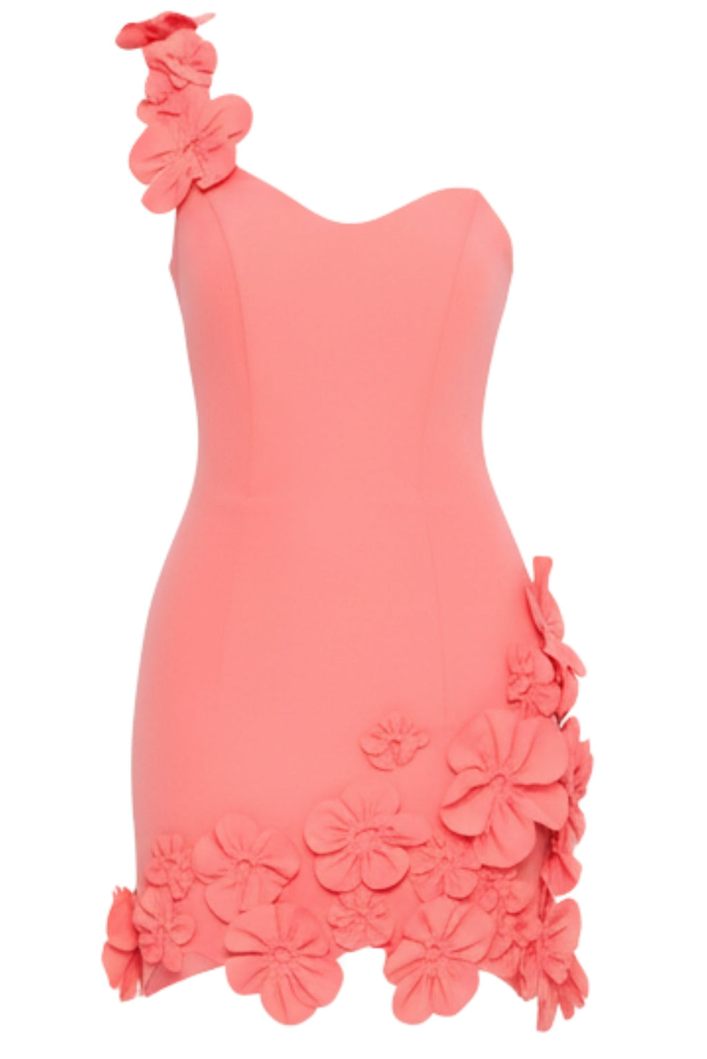 Alexa Floral Mini Dress