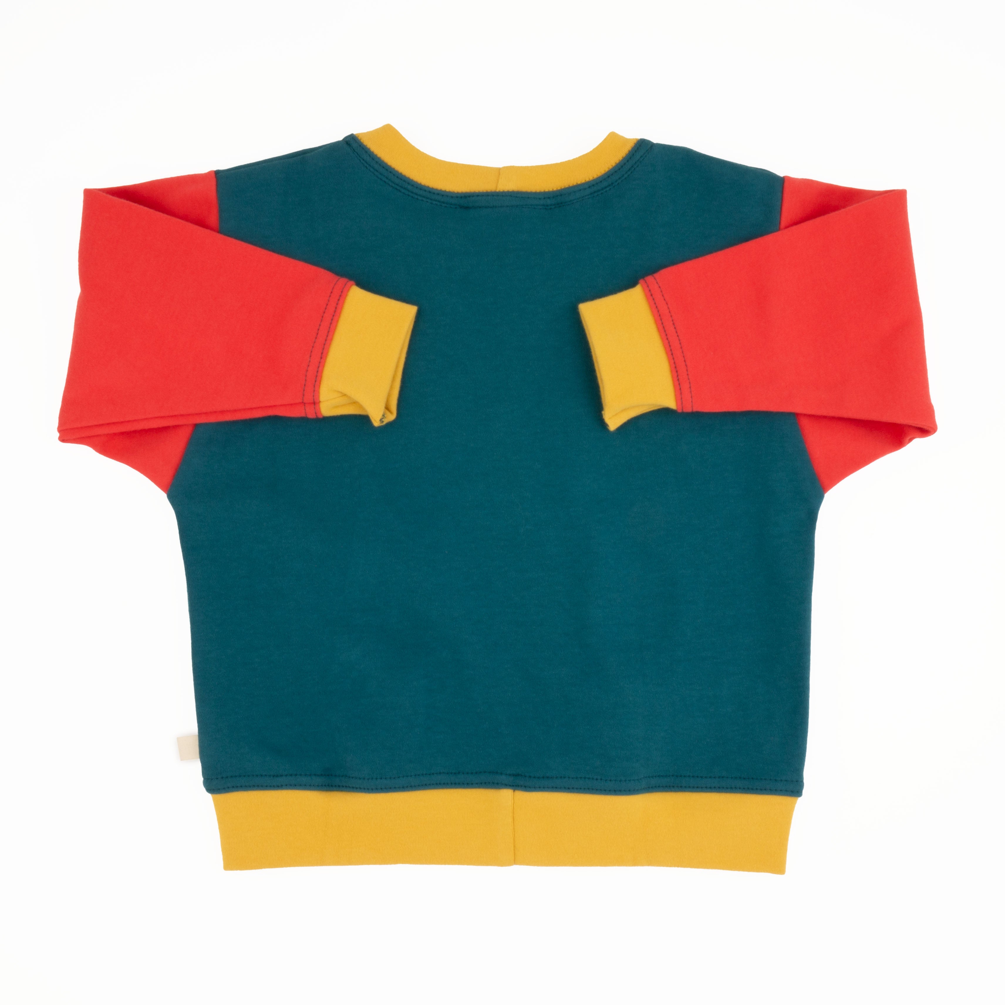 Baby Colorblock Sweatshirt