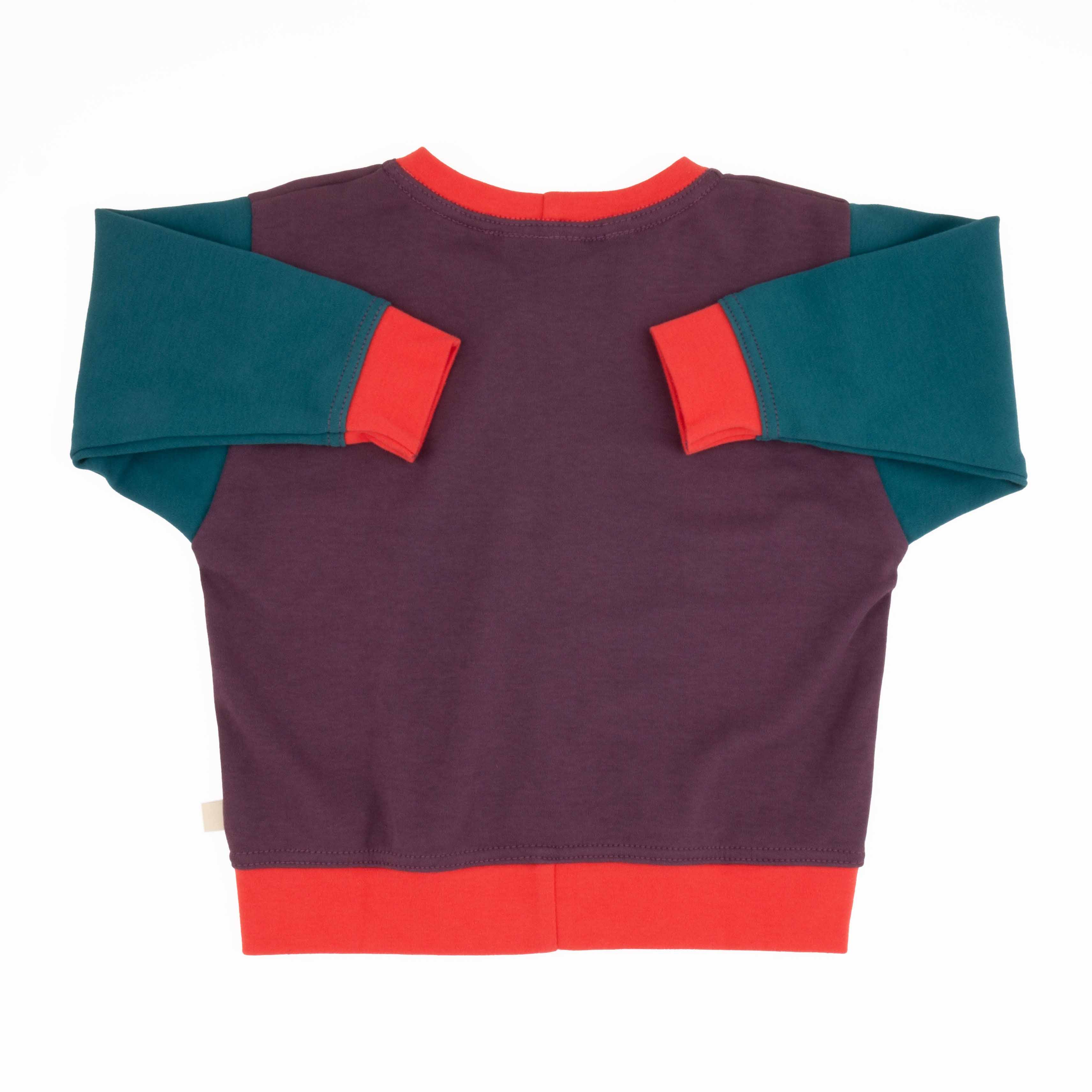 Toddler Colorblock Sweatshirt