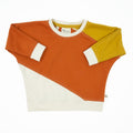 Toddler Diagonal Colorblock Sweatshirt